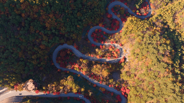 가을 숲을 따라 이어진 완만한 도로