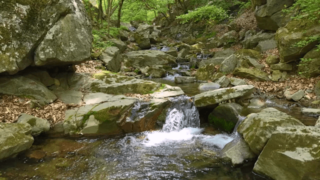 바위 위로 흐르는 고요한 시냇물