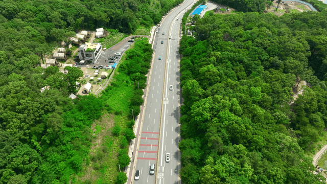 Scenic road cutting through green forest