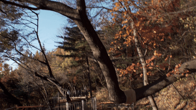 가을 낙엽이 있는 숲길