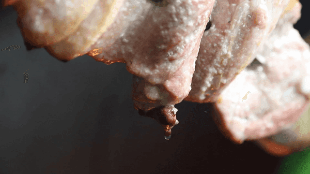 Juicy meat dripping with oil