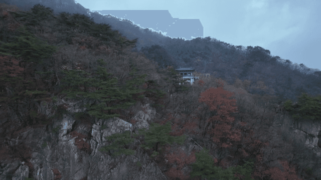 숲이 우거진 산에 자리한 사찰