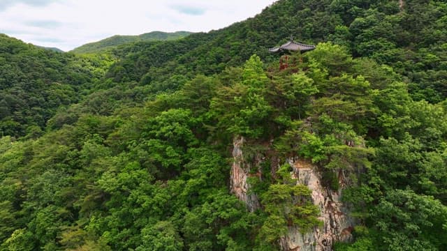 숲이 우거진 절벽 위의 전통 정자