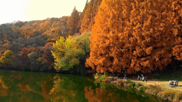 가을 나무가 무성한 호숫가