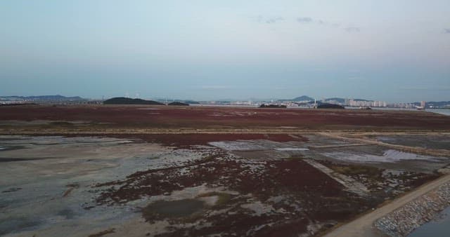 Expansive wetlands with distant cityscape