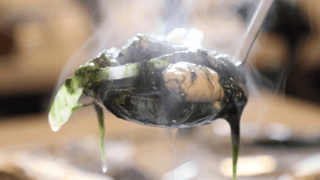 Steaming maesaengi oyster soup with ladle