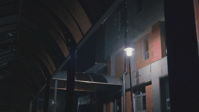 밤에 가로등이 있는 학교에 내리는 비