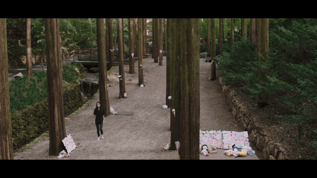 추모하는 숲 속을 걸어가는 여성