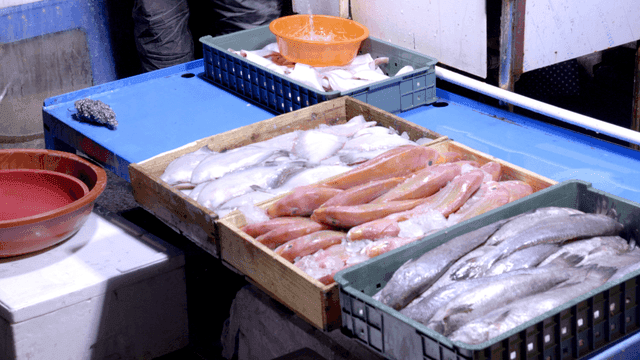 Fresh fish displayed on ice at a market