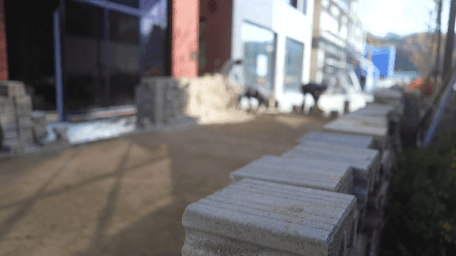 Workers laying bricks outside a building