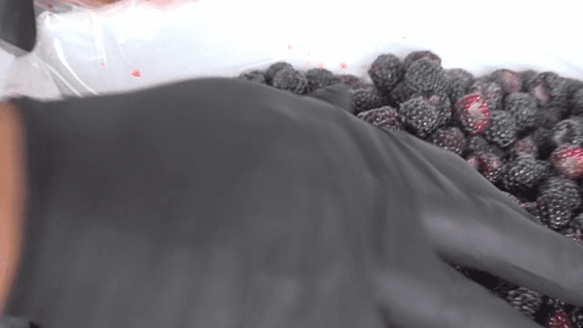 상자에서 정리하는 신선한 복분자