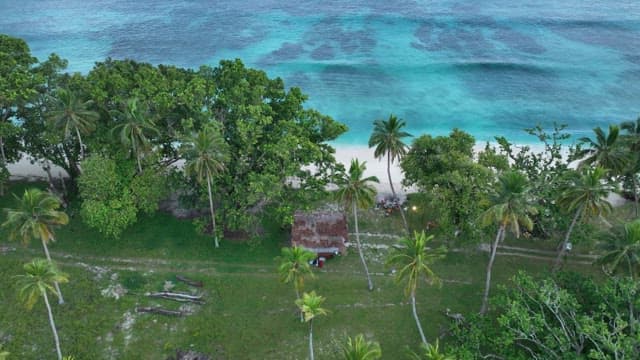 Vibrant green rainforest and emerald waves on a beach