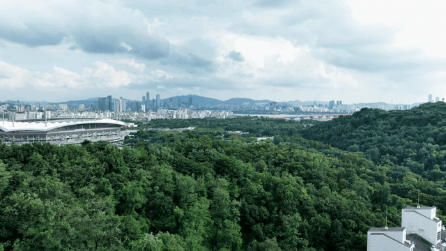 Greenery and city skyline