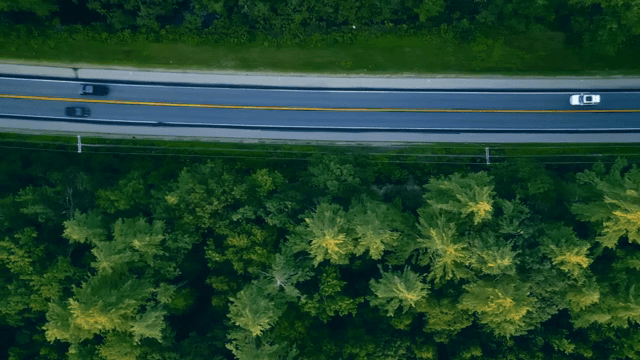 숲으로 둘러싸인 도로를 달리는 자동차