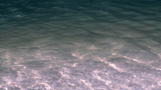 잔잔한 물결이 있는 맑은 물