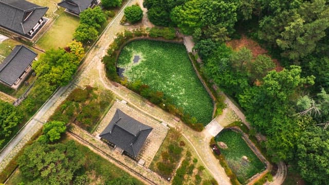 Traditional hanok village surrounded by green forest