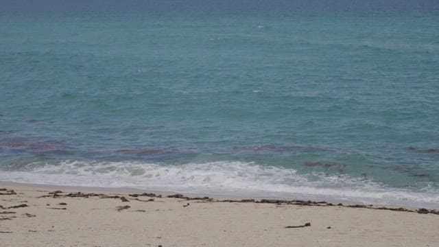 Serene Beach with Clear Blue Waters