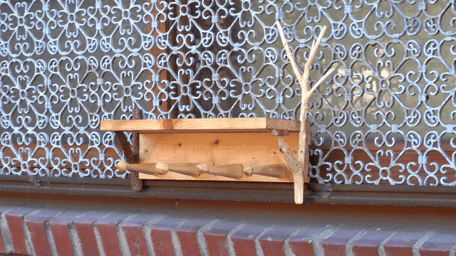 창문에 장식된 나무 선반