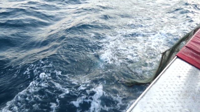 어업을 위해 아침에 출항하는 어선