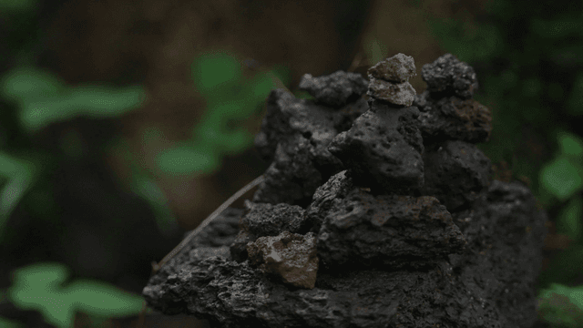 Stacked basalt stones in dense forest
