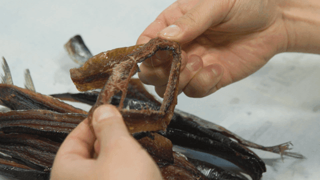 Sight of peeling hand-dried gwamegi