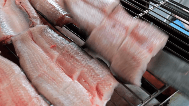 Fresh eel being prepared on a grill