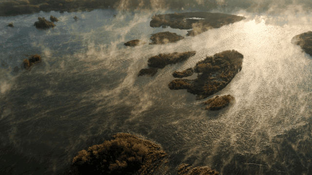 새벽 작은 섬이 있는 안개 낀 강