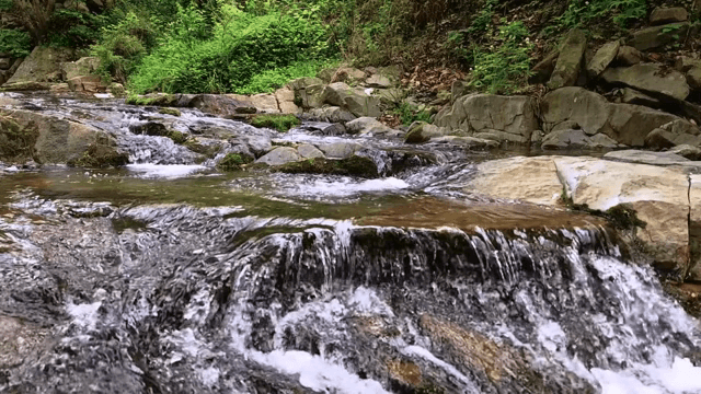 바위 위로 흐르는 고요한 시냇물