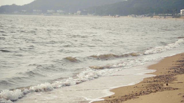 흐린 날 오후 모래사장으로 살포시 밀려오는 파도