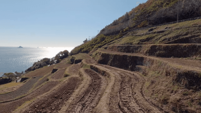 Terraced fields by the sea under clear sky