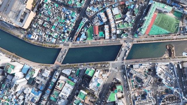 Aerial view of city with river full of fish