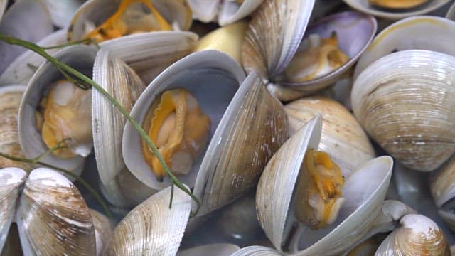 well cooked clams