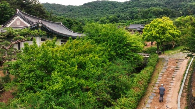 Traditional hanok village surrounded by lush trees