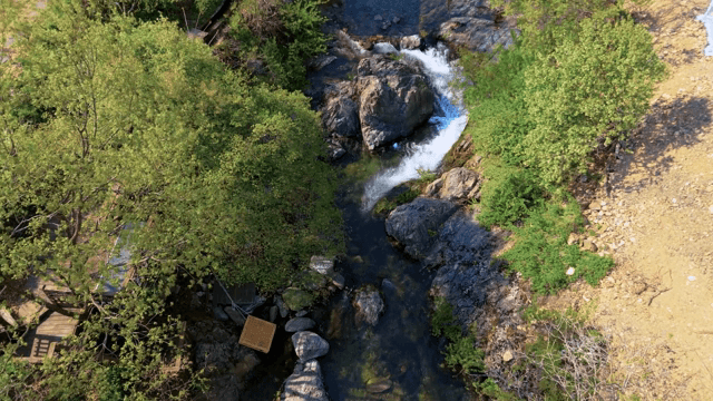 Serene river flowing through lush greenery