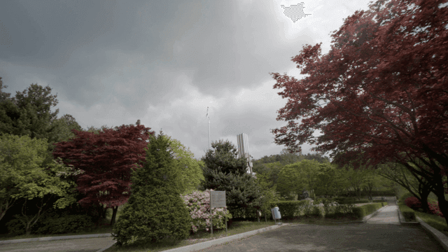 Park with lush trees and cloudy sky