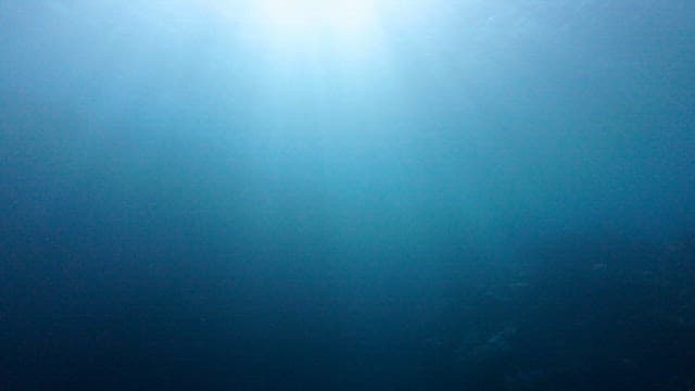 바닷물에 비치는 햇빛