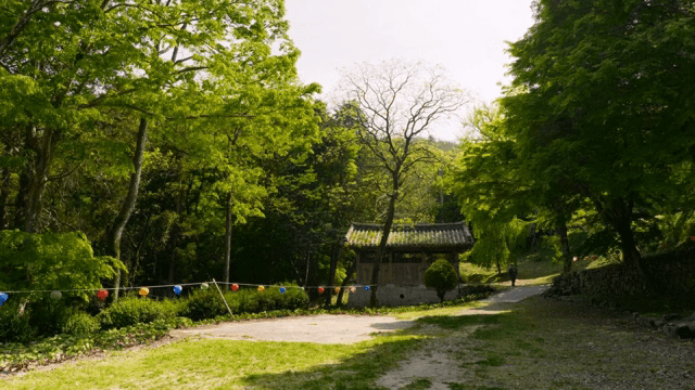 기와 건축물이 있는 푸른 숲 속