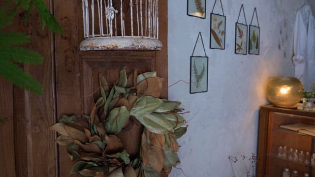 아늑한 방 안의 유물과 식물 전시