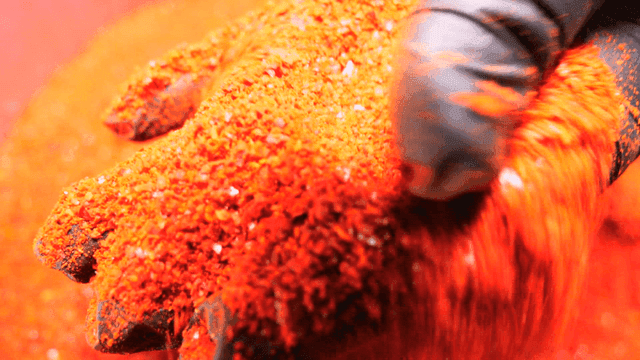 Gloves holding red chili powder