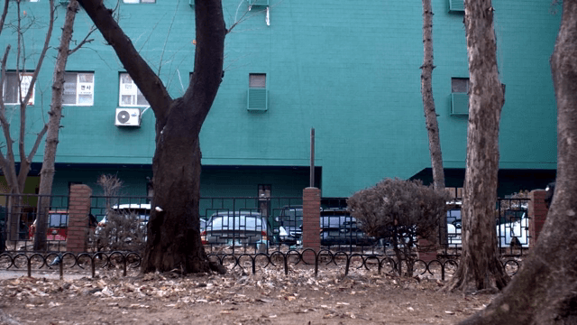 겨울 산책로를 걷는 사람