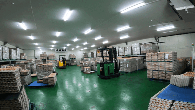 수많은 계란들이 쌓인 저장실