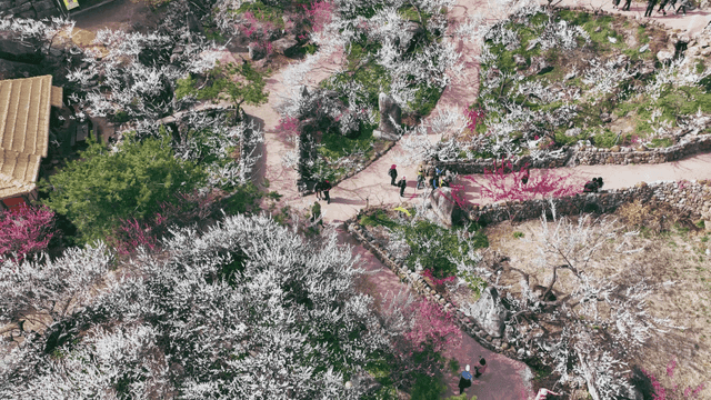 꽃이 만발한 아름다운 정원