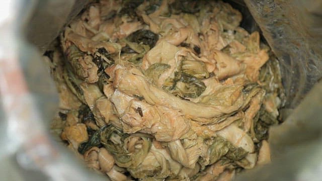 손으로 비닐봉지 안에서 삭힌 김치를 꺼내는 모습