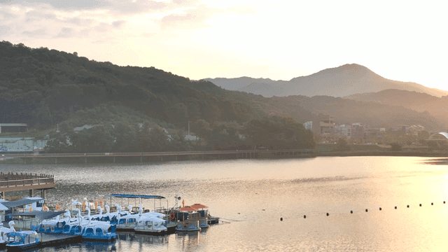 Tranquil lake with pedal boats at sunset