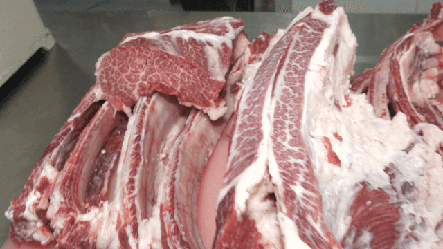 도마 위 발골 작업 완료된 마블링 한우 갈비