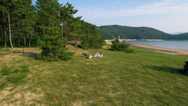 Remote Beach Camping in Lush Greenery