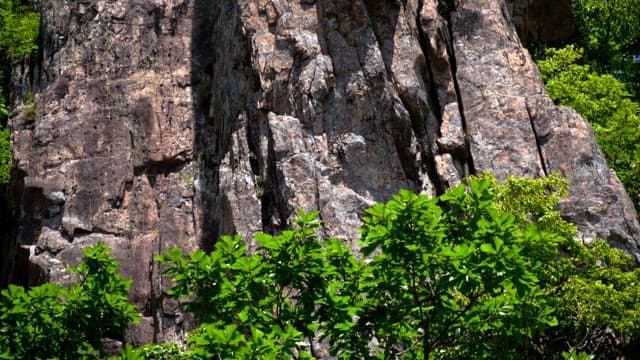 푸른 초목으로 둘러싸인 웅장한 바위