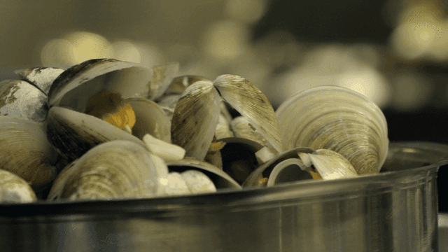 Fresh clams in a pot ready for cooking