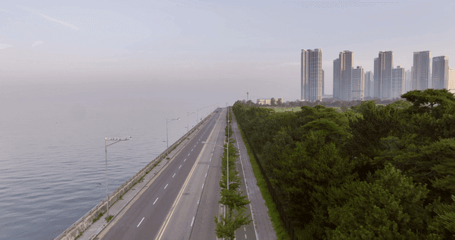 Coastal road with skyscrapers and trees