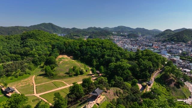 Lush green forest with a city in the background